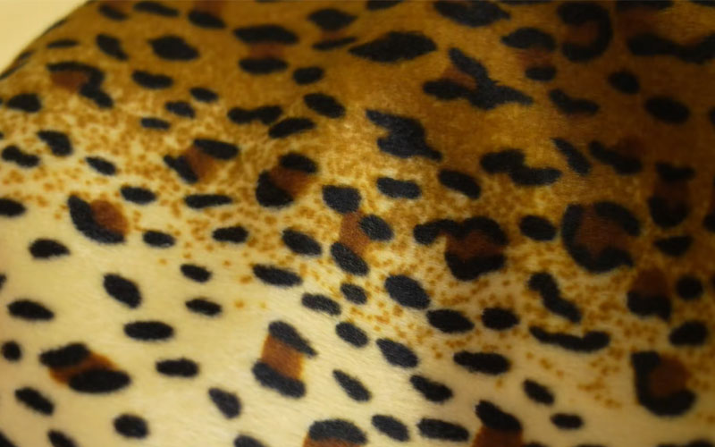 Leopard Print Short Plush